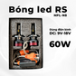 Đèn LED NPL-N8 | điện bình công suất 60W cho xe máy